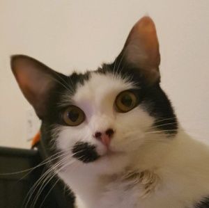 Meet your Posher, Dale